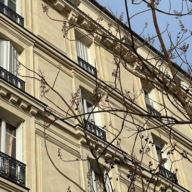 Ravalement | 13 avenue de Laumière à PARIS (75)